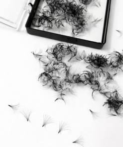 Cils volumes préfaits 8D 0.07 (500 bouquets)