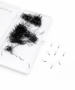 Cils volumes préfaits 5D (500 bouquets)